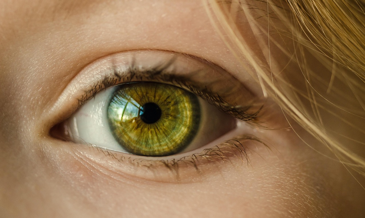 Auge, Iris, Suchen, Fokus, Grünes Auge
